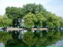 Софія Мотика фотография #10 (источник - https://vk.com/id203562935)