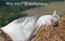 Фотография Бабкиной Оксаны