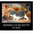 Вадік Шалівський фотография #17 (источник - https://vk.com/id161023912)