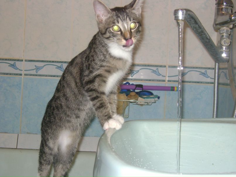 Дмитрий Трушев фотография #36