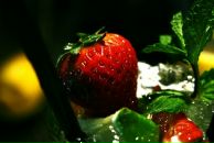 Фотография Фёдоровой Юлии