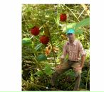 Фотография Булатова Леонида