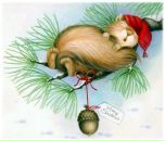 Paul Batalko фотография #26 (источник - https://vk.com/id963995)