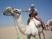 Фотография Агапова Кирилла