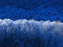 Віталік Кабарівський фотография #1