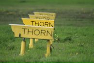 Денис Олейников фотография #45 (источник - https://vk.com/id2115269)