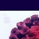 Маріанна Гульпа фотография #46 (источник - https://vk.com/id32904002)