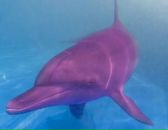 Фотография Ильина Антона