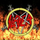 Фотография Tokareff Willy