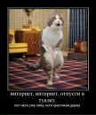 Фотография Zkel Eno