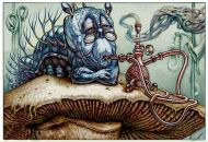 Фотография Кадышевой Дарьи