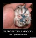 Фотография Белякова Светлана