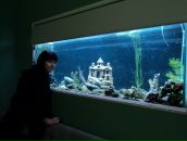 Діма Козіцький фотография #44 (источник - https://vk.com/id26220251)