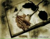 Марія Жук фотография #24 (источник - https://vk.com/id40288635)