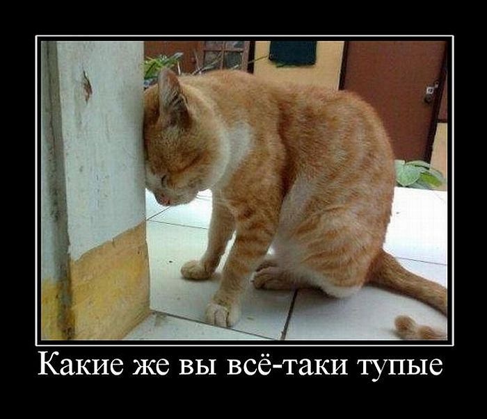 Игорь Борзенков фотография #5