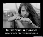 Фотография Пилигрим Нинель