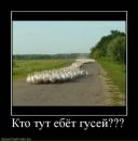 Юрій Михальчук фотография #33 (источник - https://vk.com/id26490999)