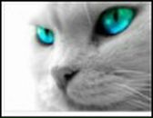 Фотография Рогулиной Ларисы