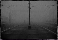 Фотография Фомина Романа