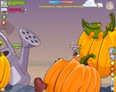 Кирил Осташкін фотография #2 (источник - https://vk.com/id163293255)