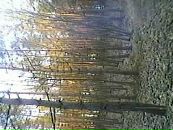 Танічка Ковальськая фотография #32 (источник - https://vk.com/id126826237)
