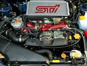 Фотография Бордо Ромы