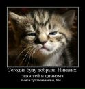 Фотография Илюшина Дмитрия