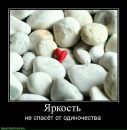 Іван Прокопюк фотография #34 (источник - https://vk.com/id162339515)