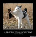 Александра Гудкова фотография #18 (источник - https://vk.com/id5502591)