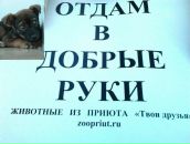 Фотография Ряснянской Екатерины