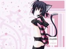 Venxiko *_* фотография #6 (источник - https://vk.com/id139215083)