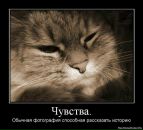 Оксана Калиниченко фотография #20 (источник - https://vk.com/id2298249)