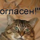 Іван Кузьменко фотография #10 (источник - https://vk.com/id139690241)