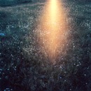 Фотография Muhachev Sasha