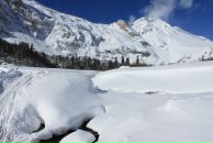 Антон Киселенко фотография #30 (источник - https://vk.com/id7526569)