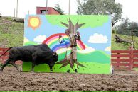 Виктор Евсеев фотография #10 (источник - https://vk.com/id3320303)