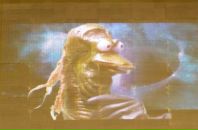 Антон Софронов фотография #46 (источник - https://vk.com/id939516)