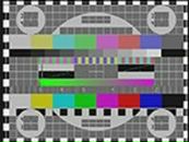 Фотография Черных Елены