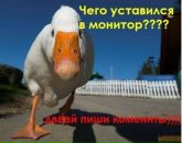 Наталія Сікора фотография #34 (источник - https://vk.com/id60600780)
