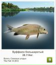 Сергій Тимків фотография #19 (источник - https://vk.com/id56049737)