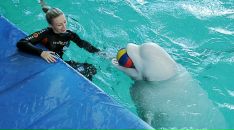 Фотография Чуриловой Елены