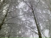 Андрей Камаев фотография #8 (источник - https://vk.com/id2346810)