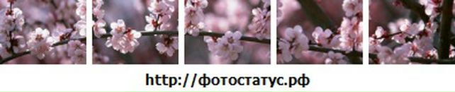 Руська Кінаш фотография #41 (источник - https://vk.com/id39089535)