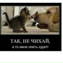 Алєг Сакідон фотография #45 (источник - https://vk.com/id154240612)