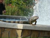 Иван Курай фотография #26 (источник - https://vk.com/id1466987)