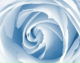 Фотография Николаевны Натальи