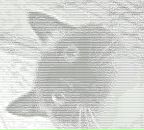 Фотография Панфилова Михаила