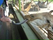 Фотография Сергеевича Олега