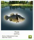 Ігор Сеньків фотография #34 (источник - https://vk.com/id157209547)