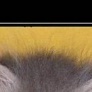 Христина Якімець-Максимяк фотография #35 (источник - https://vk.com/id21782638)